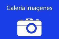 Galería Multimedia