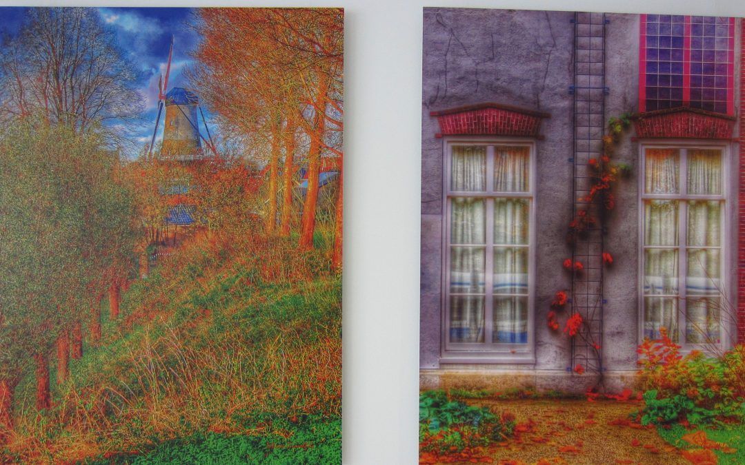 Exposiciones de las artistas Leticia Grandfils y July Romero