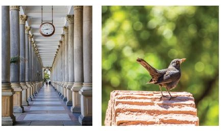 El pasado viernes 13 de septiembre se inauguró la exposición fotográfica «Alcazaba»