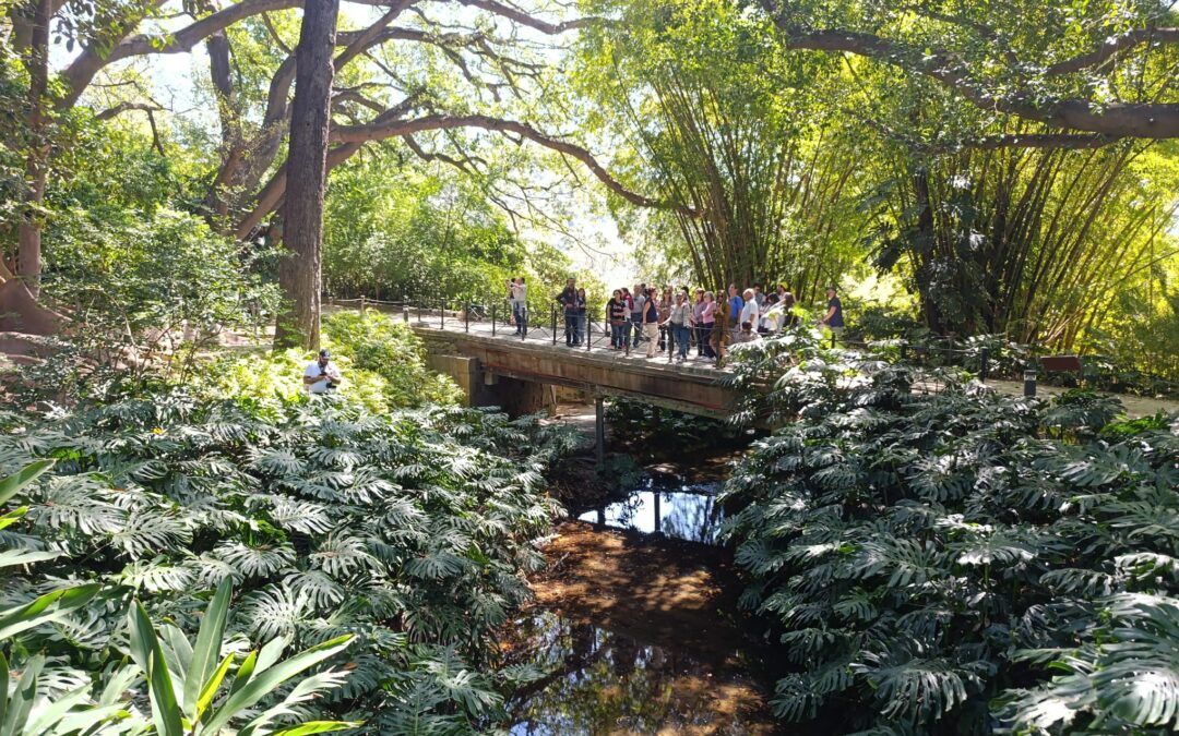 Los colegiados del Ilustre Colegio Oficial de Dentistas de Málaga realizan una visita al Jardín Botánico
