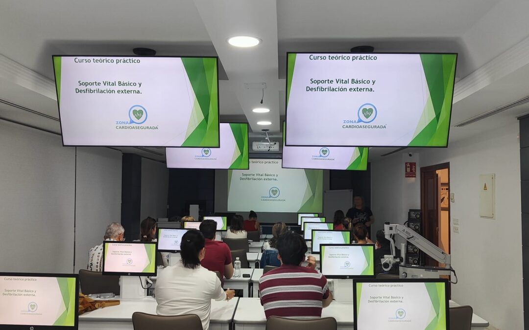 Curso: Soporte Vital Básico y DEA
